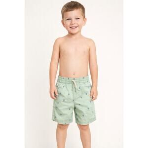 Old Navy Toddler Shorts 2T Palm Print Mint Green
